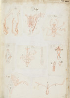 RS.16226 image RS.16226