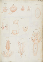 RS.16236 image RS.16236