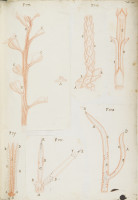 RS.16215 image RS.16215