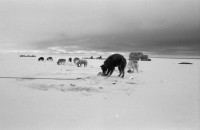 RS.11997 image RS.11997