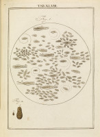 RS.18149 image RS.18149