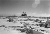 RS.12006 image RS.12006