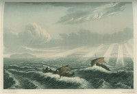 RS.9321 image RS.9321