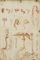 RS.9504 image RS.9504