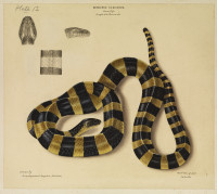 RS.8450 image RS.8450