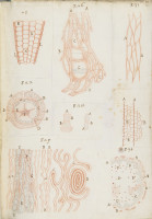 RS.16207 image RS.16207