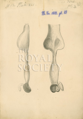 PT_73_3_10 image PT_73_3_10