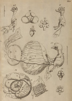 RS.21404 image RS.21404