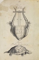 RS.16410 image RS.16410