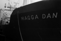 RS.12036 image RS.12036