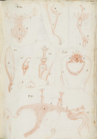 RS.16227 image RS.16227