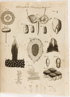 RS.14649 image RS.14649