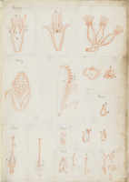 RS.16237 image RS.16237