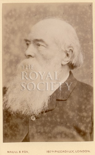bucknill j c, im maull 000643 image bucknill j c, im maull 000643