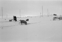 RS.11998 image RS.11998