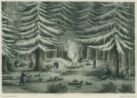 RS.9311 image RS.9311