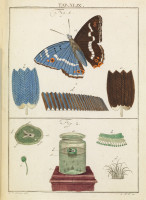 RS.18150 image RS.18150