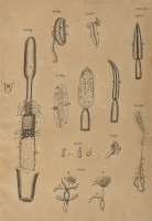 RS.21375 image RS.21375