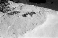 RS.12016 image RS.12016