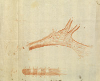 RS.9103 image RS.9103