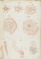 RS.16208 image RS.16208