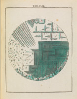 RS.18175 image RS.18175