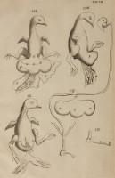 RS.21405 image RS.21405