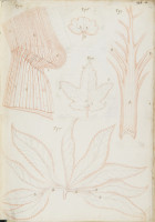 RS.16218 image RS.16218