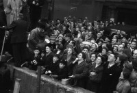 RS.12037 image RS.12037