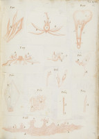 RS.16228 image RS.16228