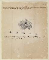 RS.16431 image RS.16431