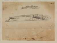 image RS.16501