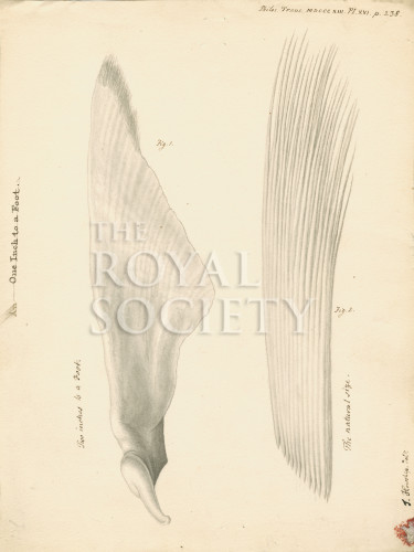 PT_73_4_13 image PT_73_4_13