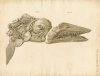 RS.8695 image RS.8695