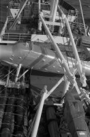 RS.12055 image RS.12055