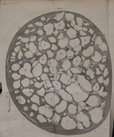 RS.18684 image RS.18684