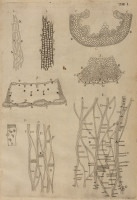 image RS.21345