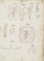 RS.16258 image RS.16258