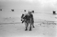 RS.11989 image RS.11989