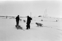 RS.11999 image RS.11999