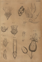 RS.21366 image RS.21366