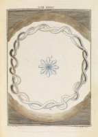 RS.18137 image RS.18137