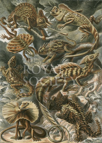 kunstformen_79 image kunstformen_79