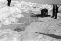 RS.12017 image RS.12017