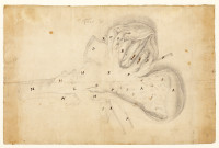 image RS.16452