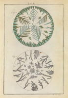 RS.11799 image RS.11799