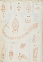 RS.16209 image RS.16209