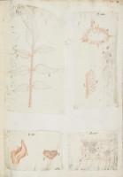 image RS.16219