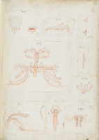 RS.16229 image RS.16229