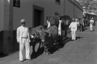 RS.12047 image RS.12047